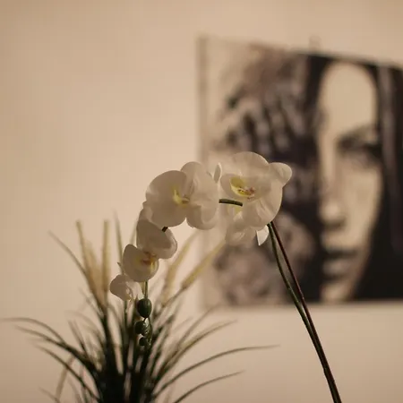 Giulia's House - Natura & Avventura *