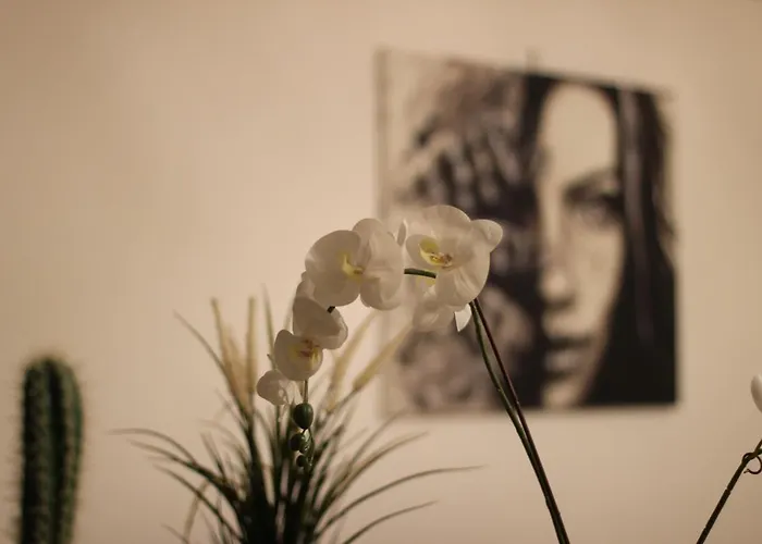 Giulia's House - Natura & Avventura *