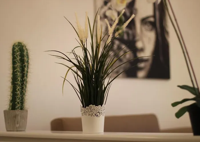 Giulia's House - Natura & Avventura Castel Di Sangro